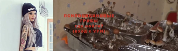 ешки Абаза