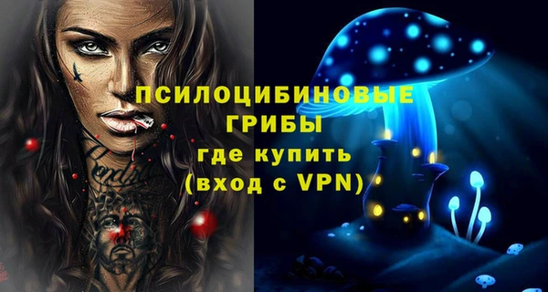 ГАЛЛЮЦИНОГЕННЫЕ ГРИБЫ Абдулино